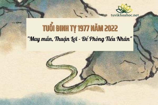 Tử Vi Tuổi Đinh Tỵ 2022 - Nam & Nữ Mạng Sinh Năm 1977