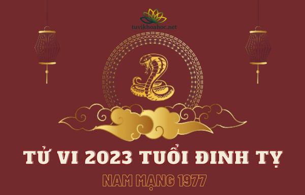 Tử Vi Tuổi Đinh Tỵ Năm 2023 - Nam Mạng 1977 Chi Tiết