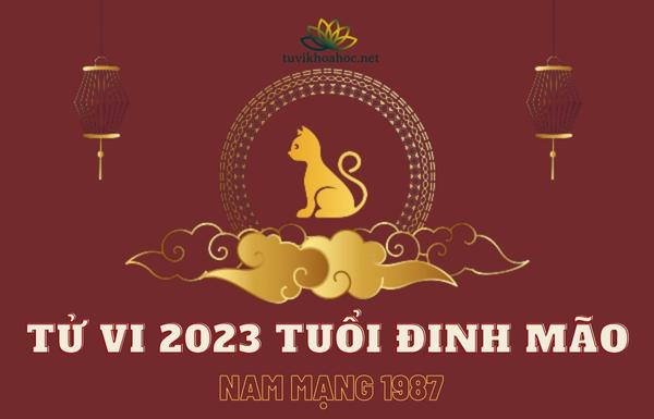 Tử Vi Tuổi Đinh Mão Năm 2023 - Nam Mạng 1987 Chi Tiết