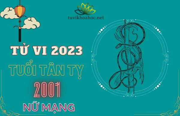 Tử vi tuổi Tân Tỵ năm 2023 - Nữ mạng #2001 (Luận giải chi tiết)